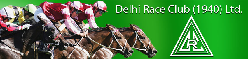 Click for HOME PAGE